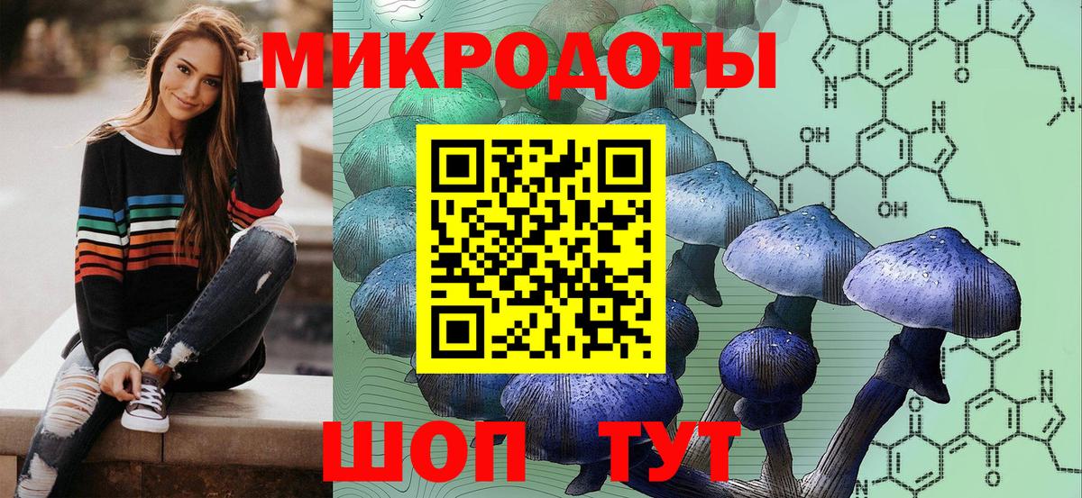 Псилоцибиновые грибы прущие грибы Зеленодольск