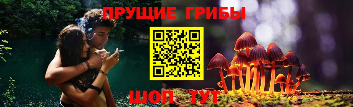 наркошоп  Псилоцибиновые грибы MAGIC MUSHROOMS  Вход с VPN  Зеленодольск 